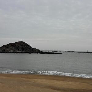 每天看书一小时