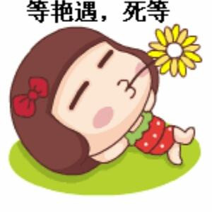 凡琪