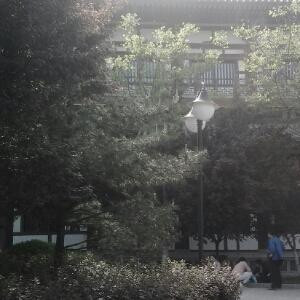 雨儿