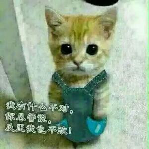 冰客