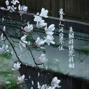 情殇