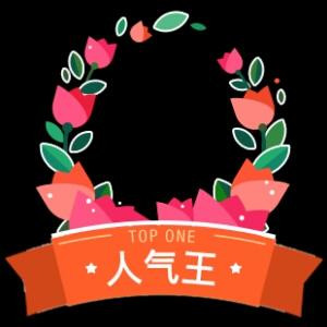 随梦而行