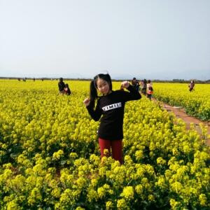 云淡风轻