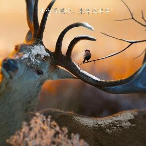 爱没理由