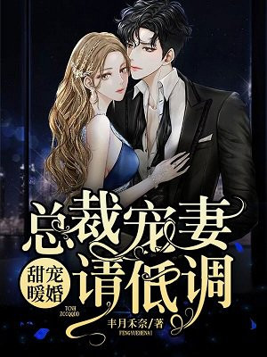 甜宠暖婚：总裁宠妻请低调