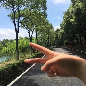 莫汀