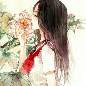 妃恋君