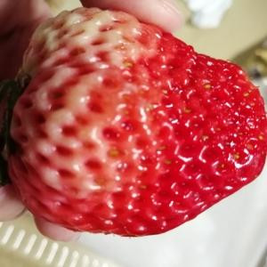 丢丢