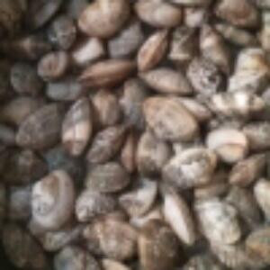 断决灬往事