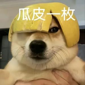 椰子牌树洞