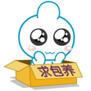 孤独冷冰心