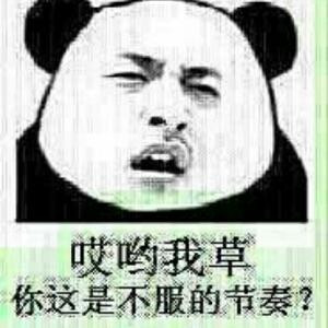老黑是头驴