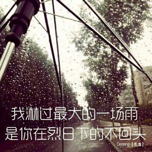 下过的雨