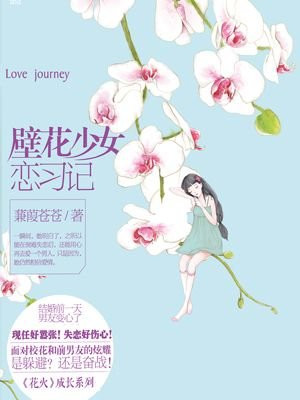 壁花少女恋习记