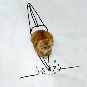 大熊掌