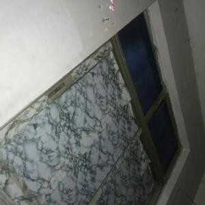 托着贝壳的蜗牛