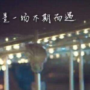 陌路离殇