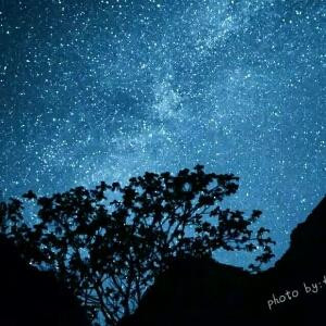 微微一笑百魅生