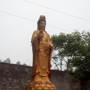 天山哈哈哈
