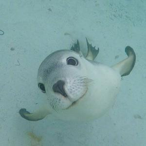 人丑就要多读书