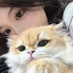 奈奈