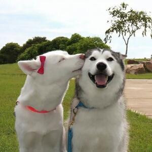 姑妄言之姑妄听