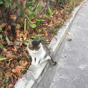 我不在