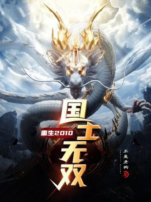 重生2010,国士无双