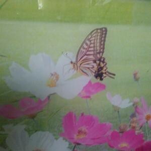 晚上从早上开始