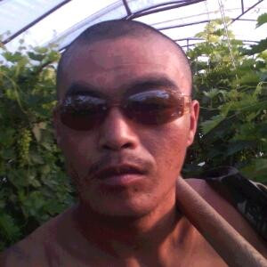 叶君