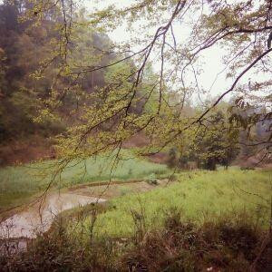 我们之间的距离