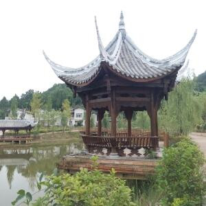 主宰