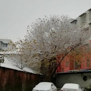 总有星发现