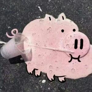 波比奇异果耶