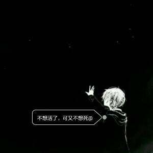 我是猪i
