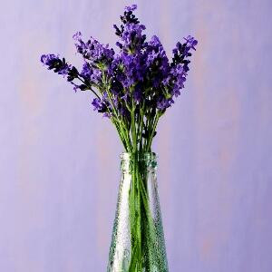 我是傲娇小公主