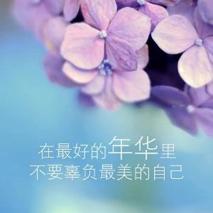 小蘑菇