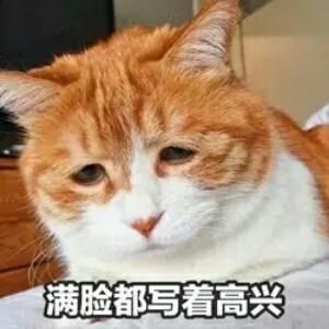 诗情画意