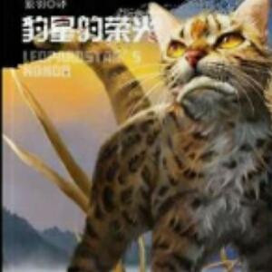不知名的小猫