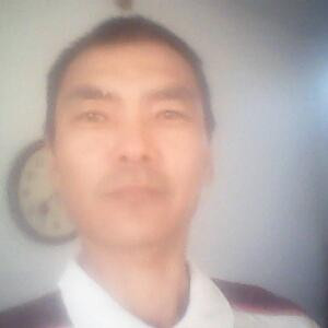 杨春英