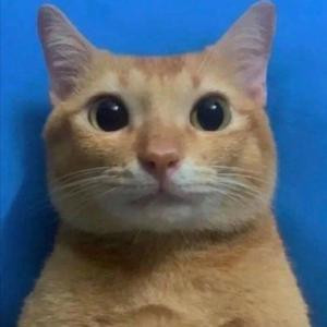 Pls_Guideme