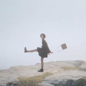 人生若只如初见