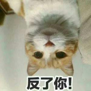 7707