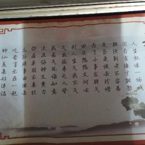 复归茶叶
