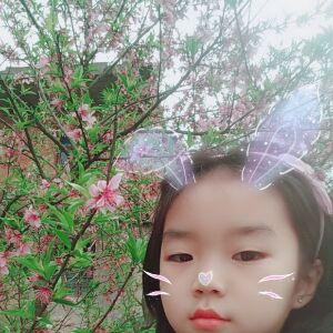蝶恋花