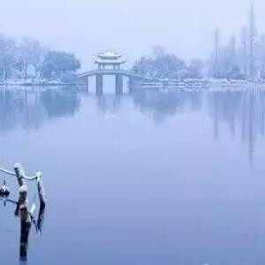 喜欢硝烟的孤狼