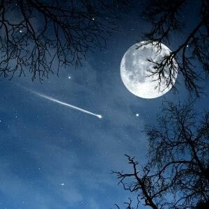月夜