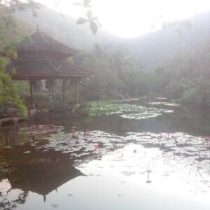 zeng