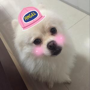 小d