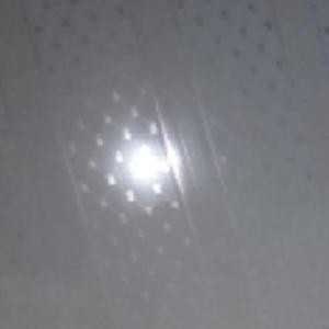 新组织